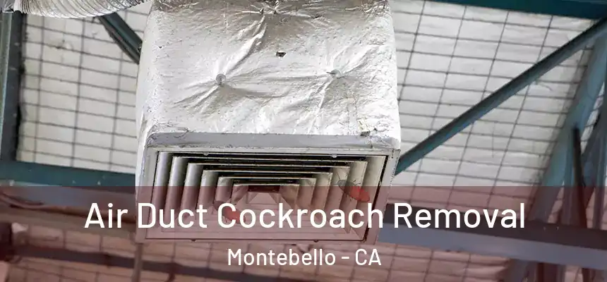 Air Duct Cockroach Removal Montebello - CA