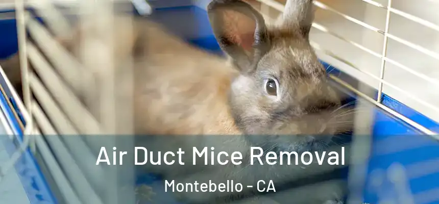  Air Duct Mice Removal Montebello - CA