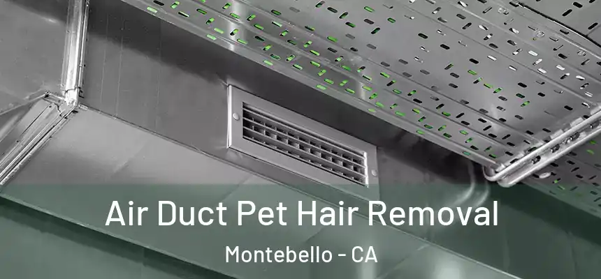  Air Duct Pet Hair Removal Montebello - CA