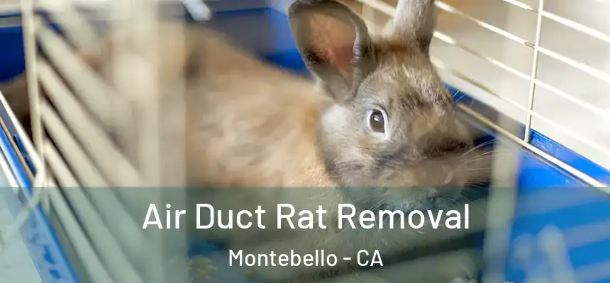  Air Duct Rat Removal Montebello - CA