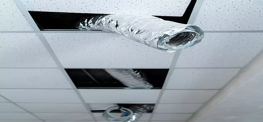 Affordable HVAC Sanitizing After Pest Removal in Montebello