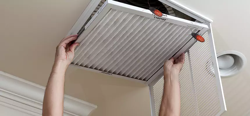 Our Insect Removal from Air Ducts Services in Montebello, CA