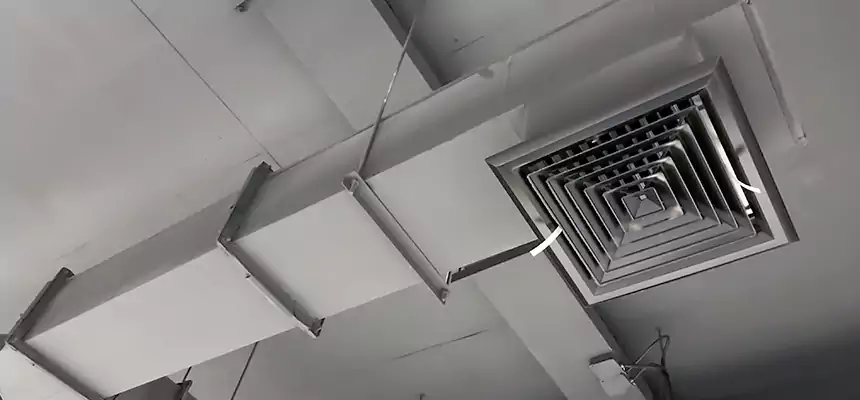 Our Rodent Droppings In Vents Services in Montebello, CA