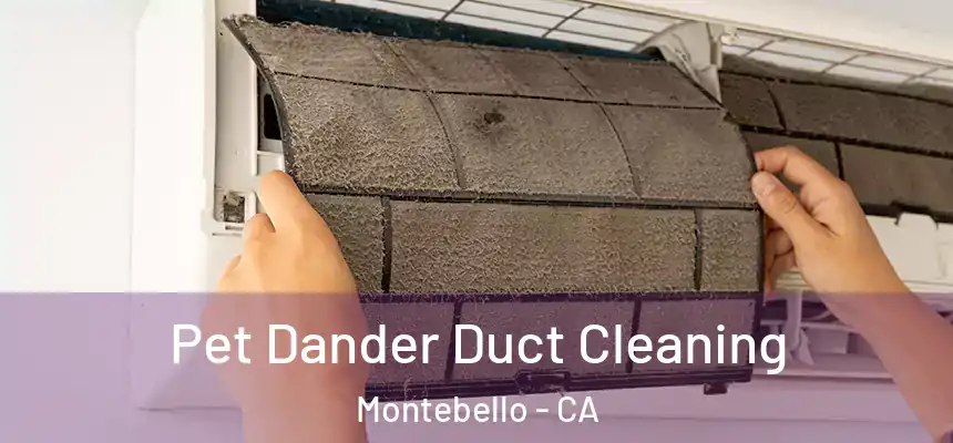 Pet Dander Duct Cleaning Montebello - CA