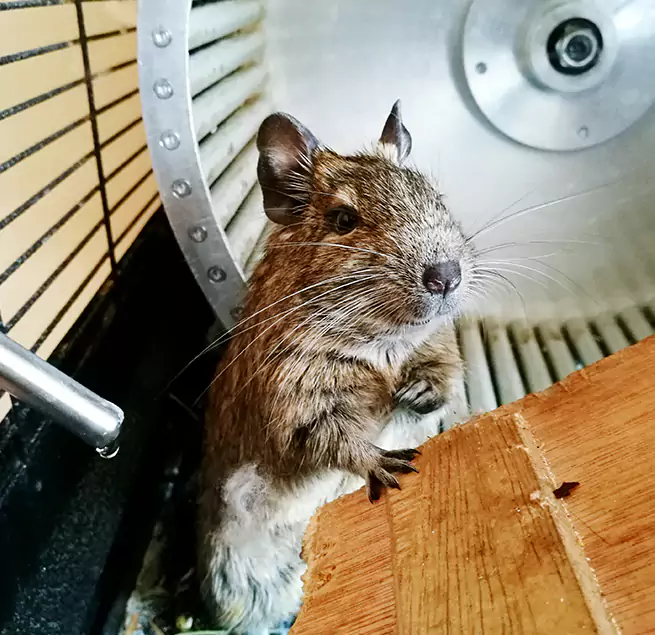 Why Homeowners & Businesses Trust Us Montebello, CA?